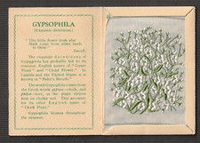 Kensitas Wix cigarettes Medium