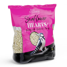 Tom Chambers Sunflower Hearts