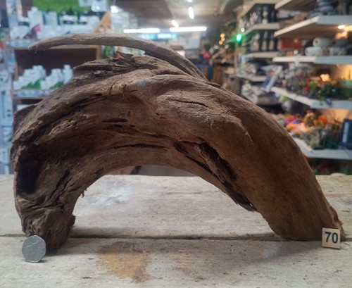 Medium natural bogwood - medium,
