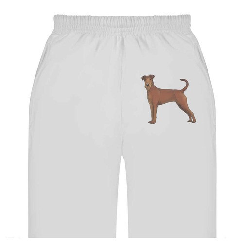 Irish terrier adult - terrier',