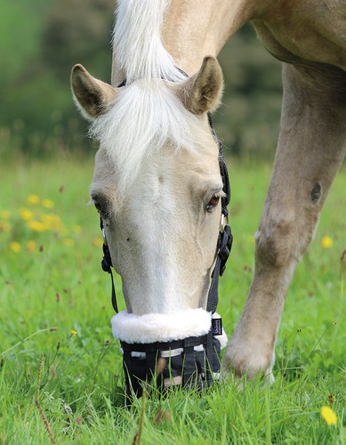 Shires deluxe comfort - comfort, grazing