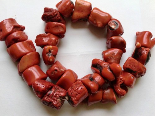 5pcs red sea - sea, coral