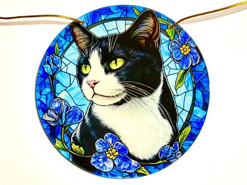 Black white tuxedo - cat, blue