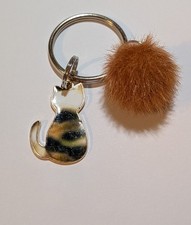 Beautiful Tortoiseshell Cat &