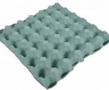 Green egg trays each - egg, tray