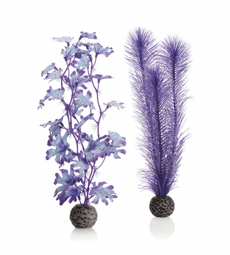 Oasis biorb seaweed set - biorb,
