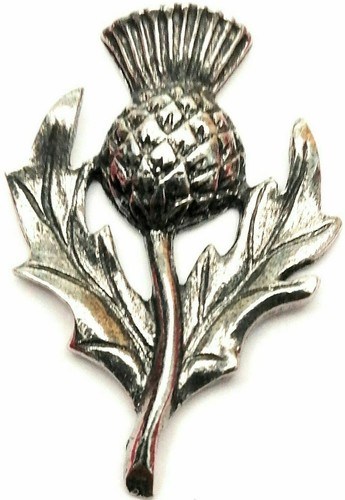 Scottish thistle badge pin - thistle,