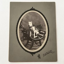 Antique Photograph On Board