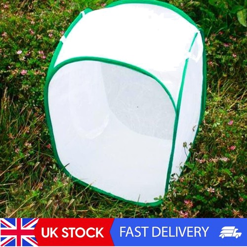 Large collapsible butterfly - large,