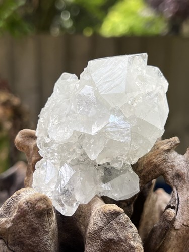 Apophyllite cluster mineral - apophyllite,
