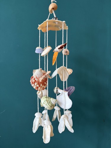 Mixed shell mobile windchime - mixed,