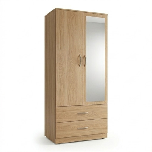 Door mirrored fully - mirrored,