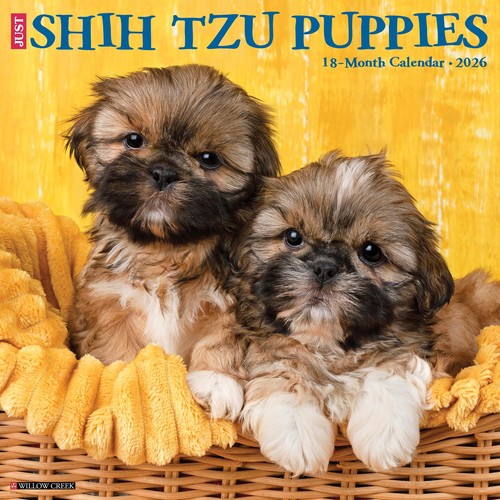 Shih tzu puppies 2026 wall - tzu,