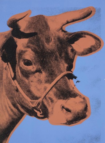 Cow andy warhol - by,