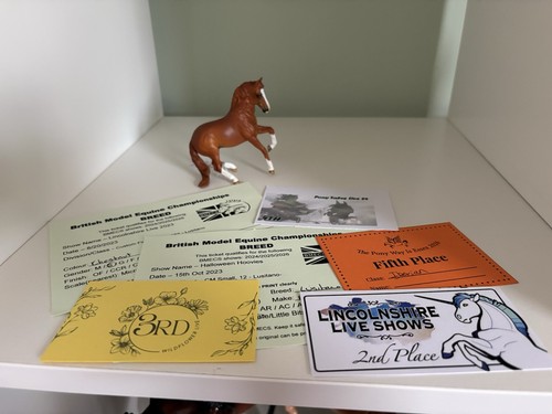 Bmecs qualified breyer - qualified,