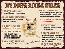 Norwich Terrier My Dog's House