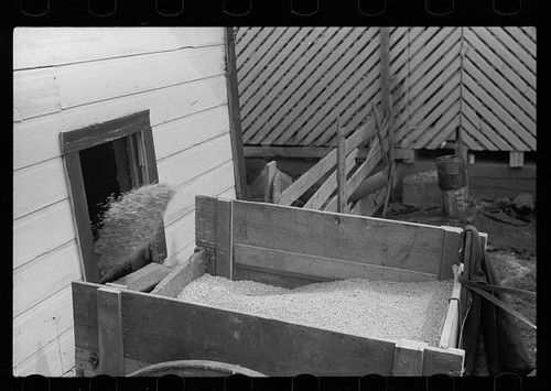 Photo 1930s farm grain bin - photo:1930s,