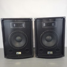 W Audio SPEA43 100W 10" Passive PA /DJ Speakers 4 Ohm Pair Of Large  Speakers UK