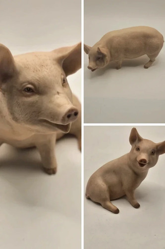 John aynsley signed pig - aynsley,