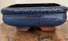 Small Japanese Blue