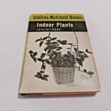 Indoor Plants - Collins
