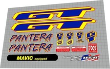 1996 GT Pantera chrome frame