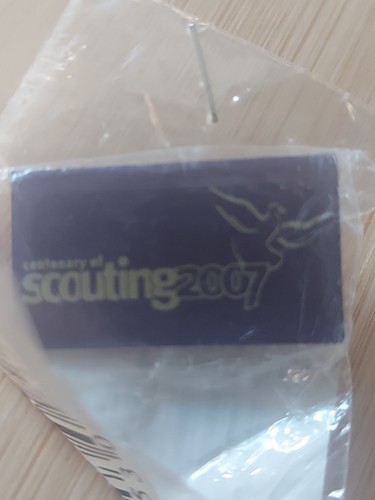 Scouting 2007 centenary - uk,