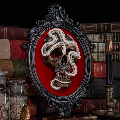 Snake skeleton real bone - snake,