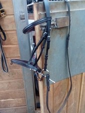 Brown Leather Pony Bridle. Reins. Bit 