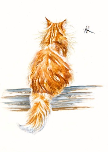 Ginger cat print my - print, of