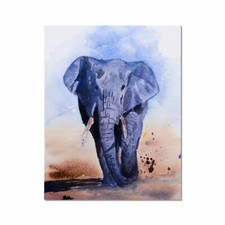 Elephant #3 Fine Art Print