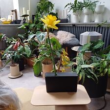 black ceramic vase, Design