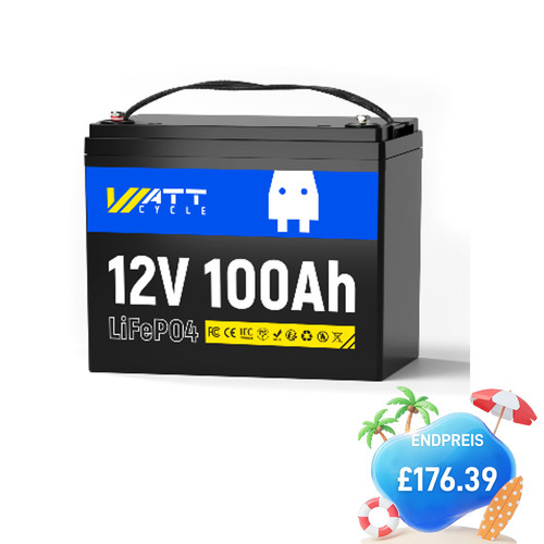 12v 100ah lifepo4 lithium - 12v,