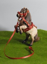 Red lunging halter cavesson