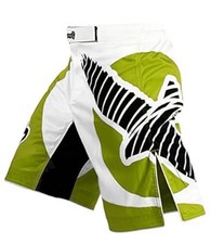 HAYABUSA CHICKARA MMA FIGHT