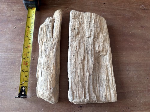 Unique medium driftwood - unique,