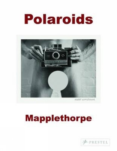 Robert mapplethorpe sylvia - mapplethorpe,