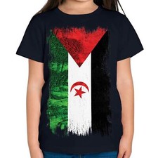 WESTERN SAHARA GRUNGE FLAG