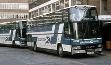 Western Scottish (wsmt) kv188