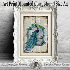 Peacock Art Print on Antique