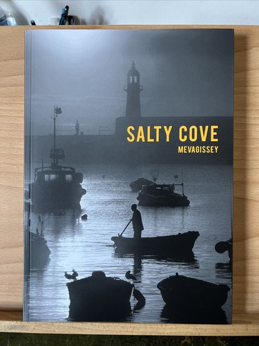 Salty cove mevagissey - cove,