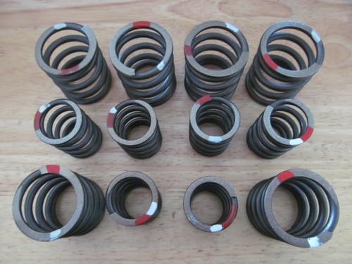 9954 valve spring set - 99-9954,