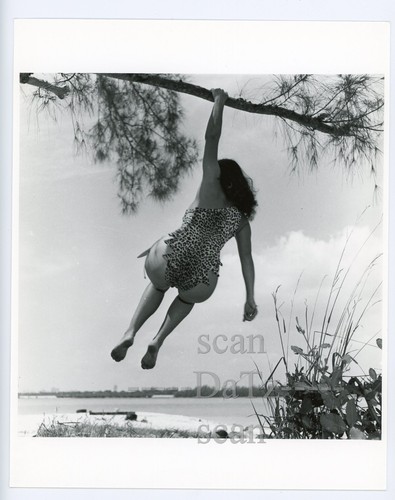 Original bunny yeager - original,