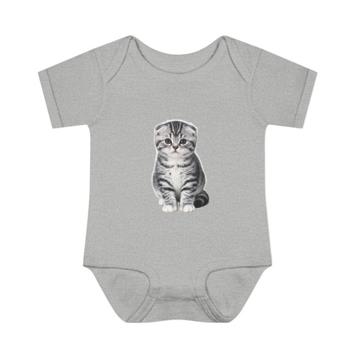 Infant cute scottish fold - infant,