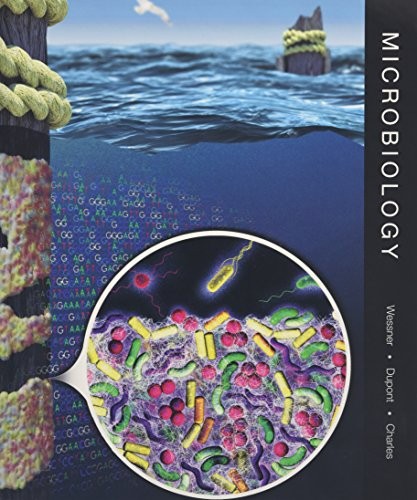 Microbiology dave wessner - microbiology,dave,