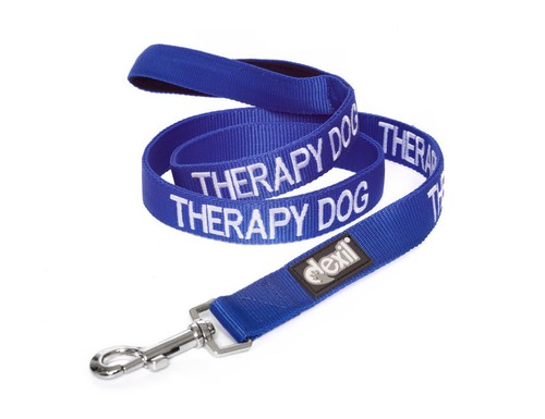 Colour coded blue therapy - coded, dog