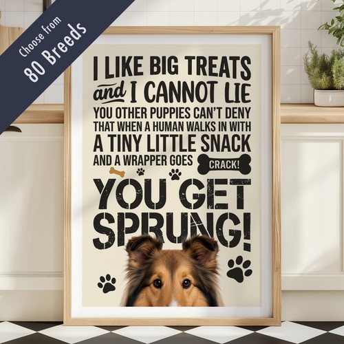 Funny dog treats - lyric, quote