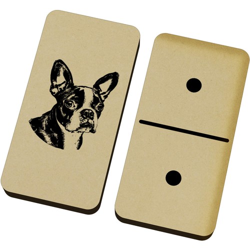 Boston terrier portrait - terrier, portrait'