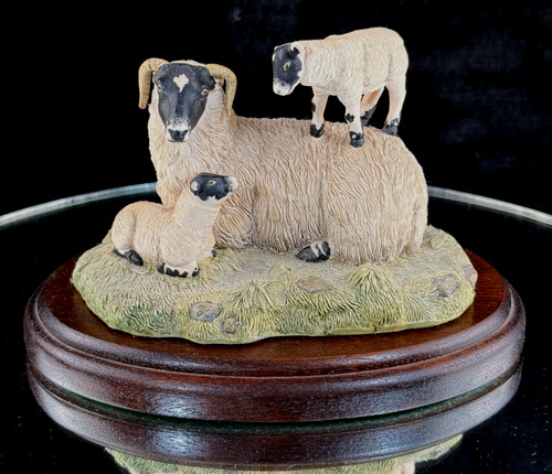 Border fine arts - arts, of
