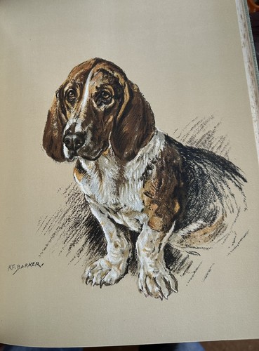 Dog days barker vintage - by,